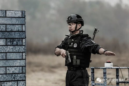 公安系统教官,铸就平安基石的守护者