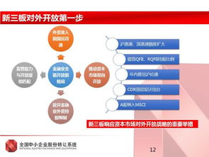 股转系统公司,助力中小企业发展的金融平台