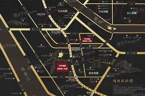 福凤栖系统,福凤栖系统简介