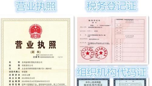 公司三证查询系统,企业信息透明化的便捷工具