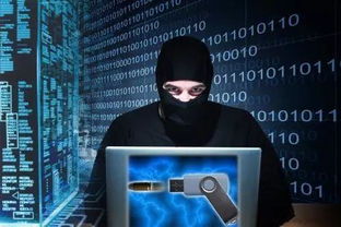 公安网络系统瘫痪,危机与应对策略