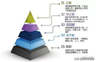 分类阶层系统,分类阶层系统的起源与发展