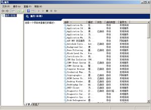 服务器常用系统,服务器常用系统概述