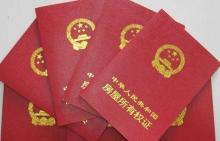 广东印章查询系统,便捷高效的印章信息查询平台