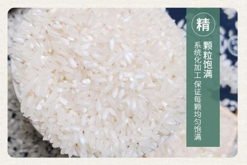 广东大米系统,科技赋能下的现代农业典范