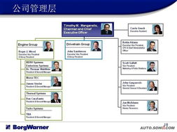 服装博格系统,深入了解服装博格系统——高效服装生产的好帮手