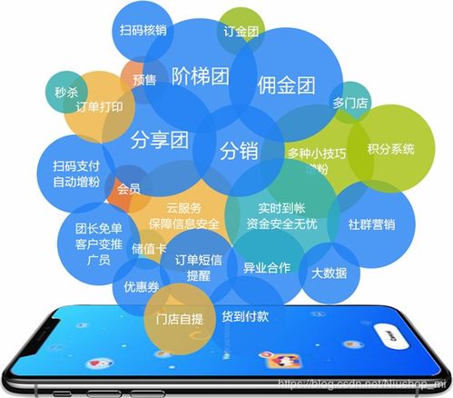 分销系统开源,优势、应用与未来趋势