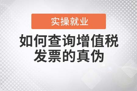 个税系统捐款,了解政策与操作流程