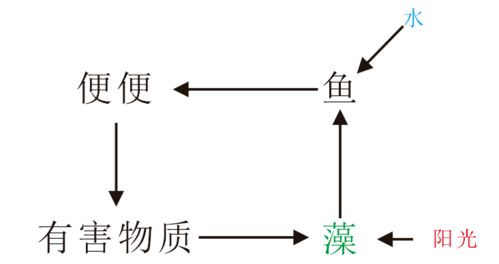 古法缸循环系统,揭秘传统养鱼的生态智慧