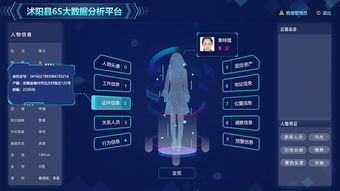 公安系统个人资料查询,了解隐私保护与法律依据