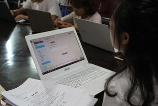 福建共青团综合管理系统,助力团务工作高效便捷