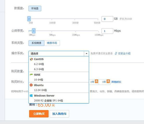 服务器用什么系统好,服务器用什么系统好？全面解析服务器操作系统选择