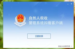 个人所得税系统安装,个人所得税系统安装指南