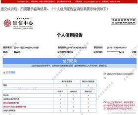 个人征信如何查询系统,全面解析征信查询流程