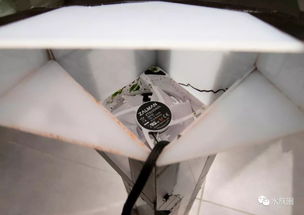 缸底过滤系统,鱼缸清洁与生态平衡的守护者