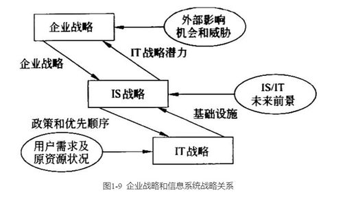 管理信息系统属于,什么是管理信息系统？