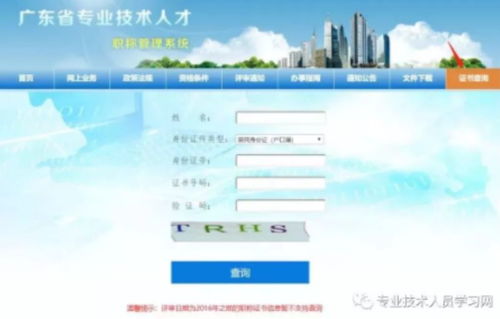广东专业技术人才职称管理系统,助力人才发展新平台