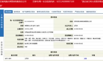 公司注册号查询系统,轻松获取企业信息