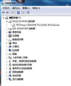 光盘微系统,光盘微系统的崛起与应用