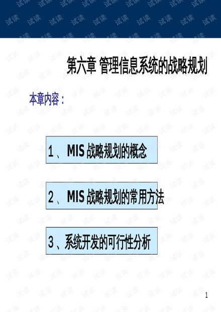 管理信息系统战略规划,企业发展的关键驱动力