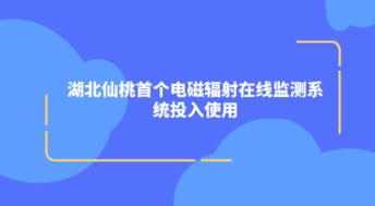 辐射在线监测系统,守护环境与健康的智能防线