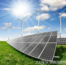 光伏发电系统 品牌,引领绿色能源潮流的佼佼者