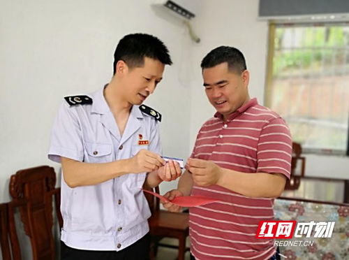 构建税务系统一体化综合监督体系,构建税务系统一体化综合监督体系的意见