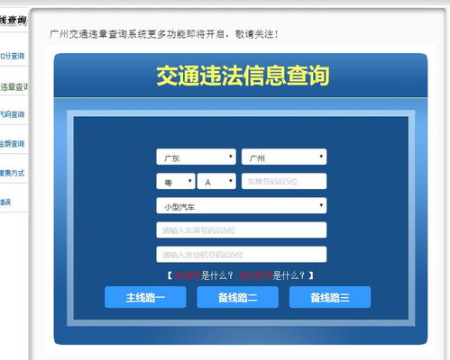 公安局查询系统,公安系统查询个人信息官网