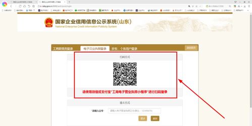公示系统页面,功能、操作与重要性
