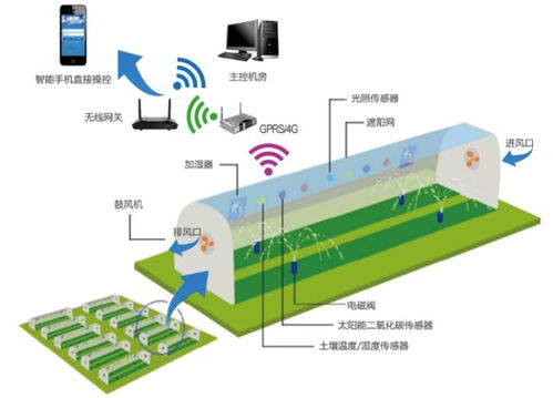 蜂系统,智能化管理时代的创新解决方案