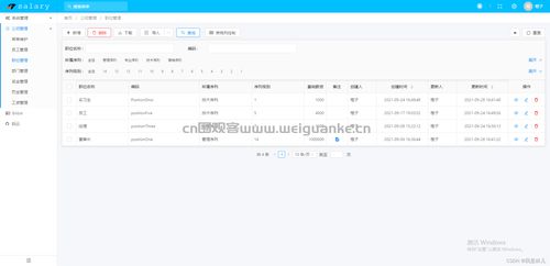 工资信息系统,工资信息系统在现代企业中的应用与价值