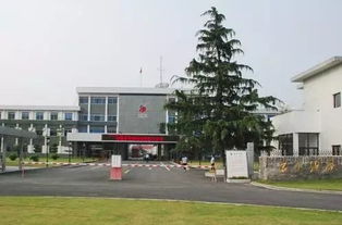 古井集团办公系统,助力企业数字化转型，提升管理效率