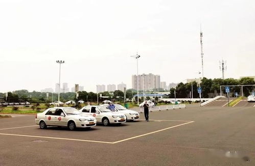 公安部驾考系统,智能化改革下的驾驶培训新篇章