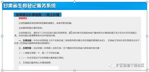 甘肃网上生育登记系统,便捷高效，助力生育政策落实