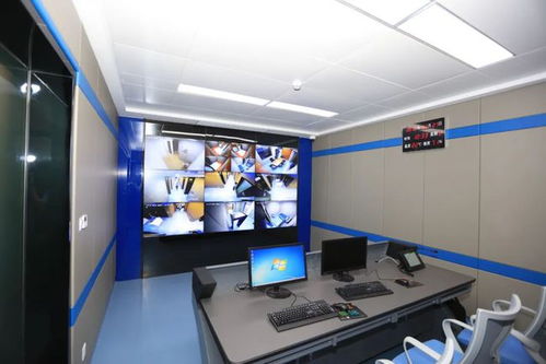 公安局审讯系统,公安局审讯系统概述