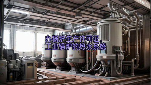 工业锅炉系统,工业锅炉系统在现代工业中的应用与挑战