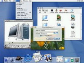 非主流系统,多样化的选择与独特魅力