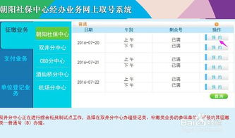 丰台社保取号系统,便捷高效的服务体验