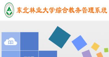 甘肃林业教务管理系统,助力学院教学信息化建设