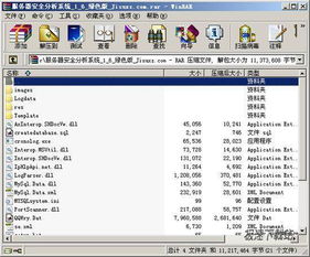 服务器安全管理系统,服务器安全管理系统的构建与实施