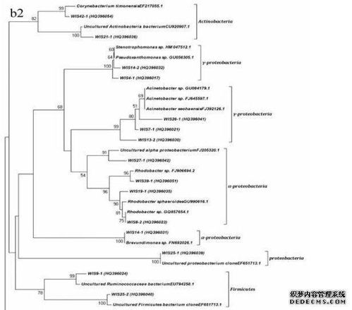 各系统发育情况,儿童各系统发育情况概述