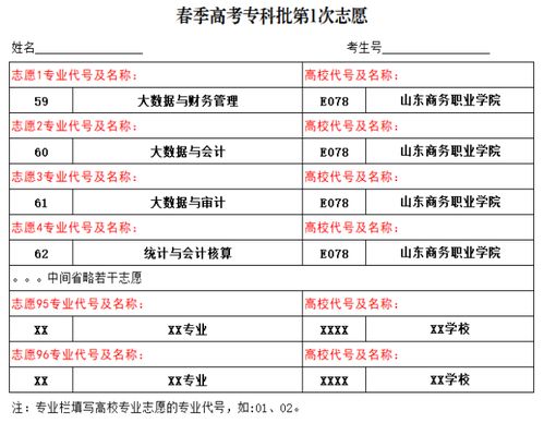 高考填报志愿系统专科,全面解析填报流程与技巧