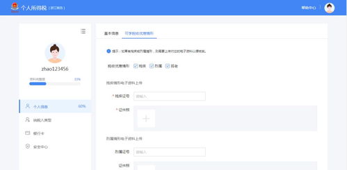 个税报税系统,简化流程，提升效率