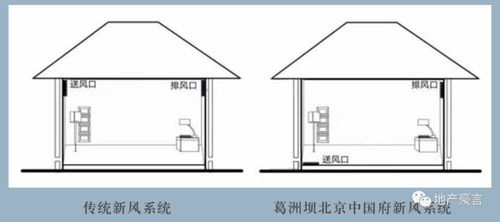府系统,府系统在现代政府管理中的角色与功能