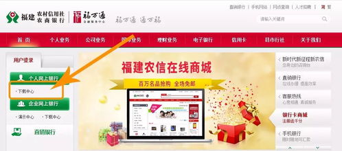 福建省农信系统,福建省农信系统助力乡村振兴，推动农业现代化发展