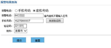公安系统案件查询,公安系统案件查询服务详解