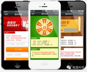 刮刮卡系统,刮刮卡系统的应用与发展