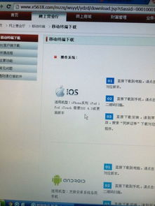 股票编号查询系统,股票编号查询系统——高效便捷的股票信息查询工具