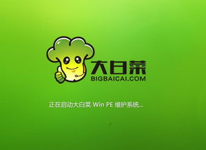 攻略系统大白,游戏玩家的得力助手