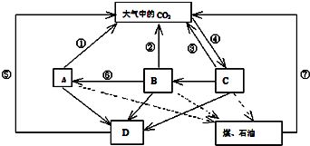 分析某生态系统简图,生态系统简图概述